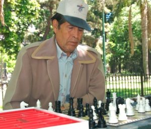 Playing chess at the park