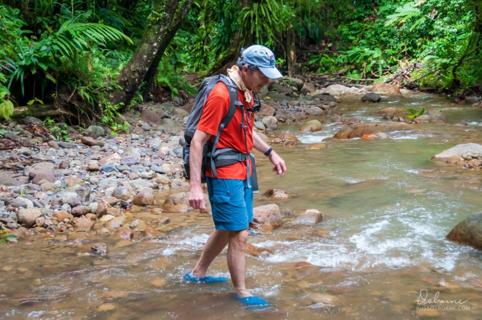 Walt crossing a little jungle stream.