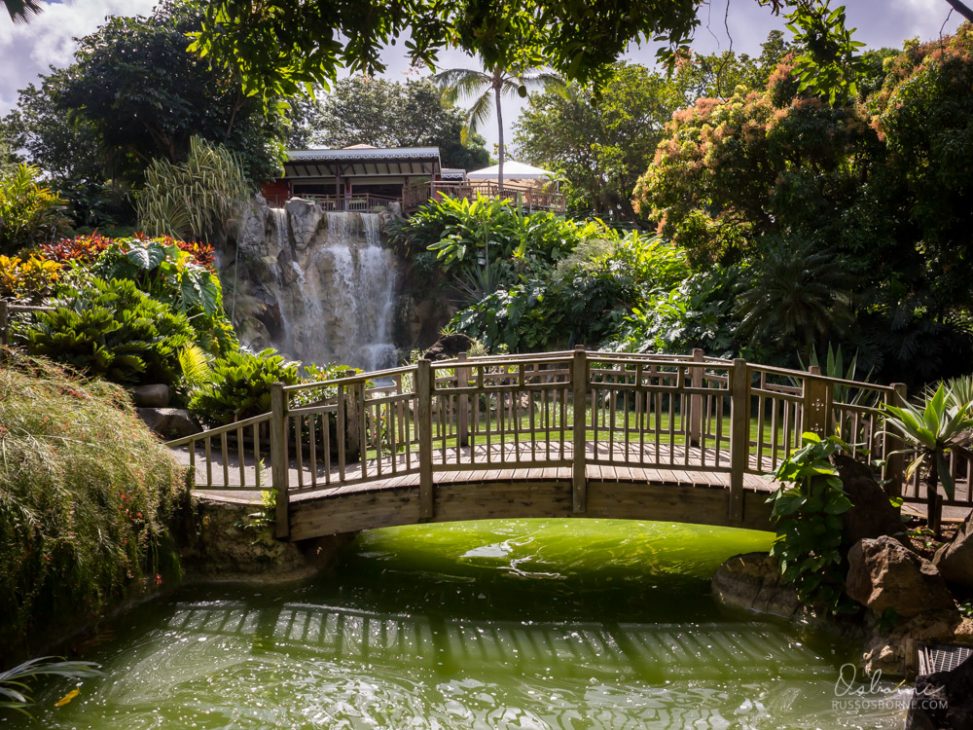 Pretty setting at the Deshaies Botanical Garden