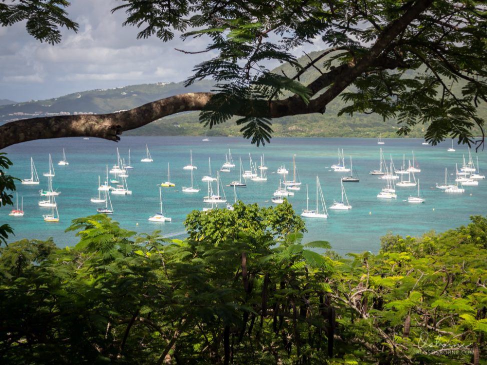 Busy anchorage filled with sailboats in Martinique.